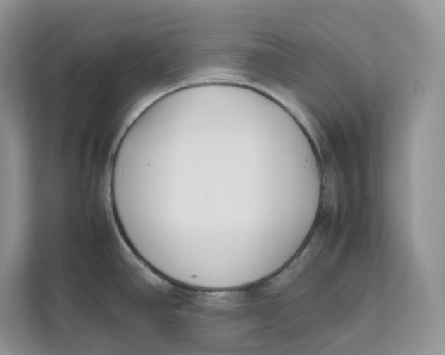 X0000111631390200908071402