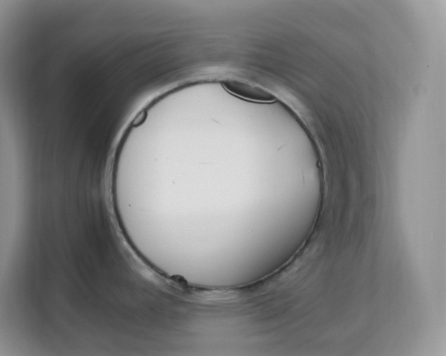 X0000111631392200908071402