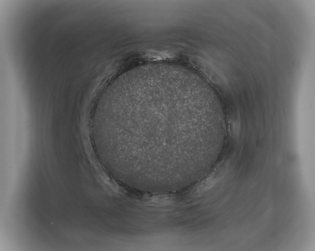 X0000111631393200908071401