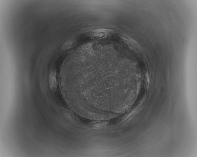 X0000111631394200908071401