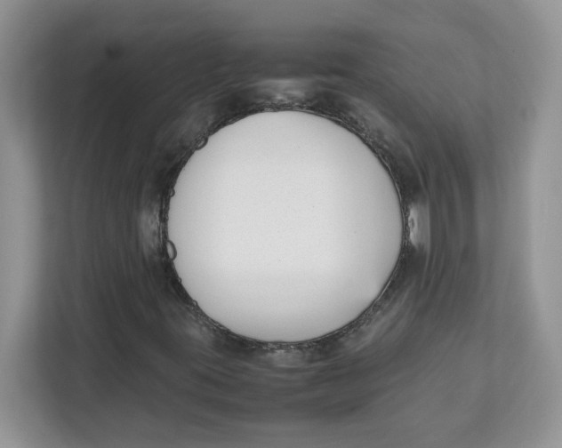 X0000111631395200908071401