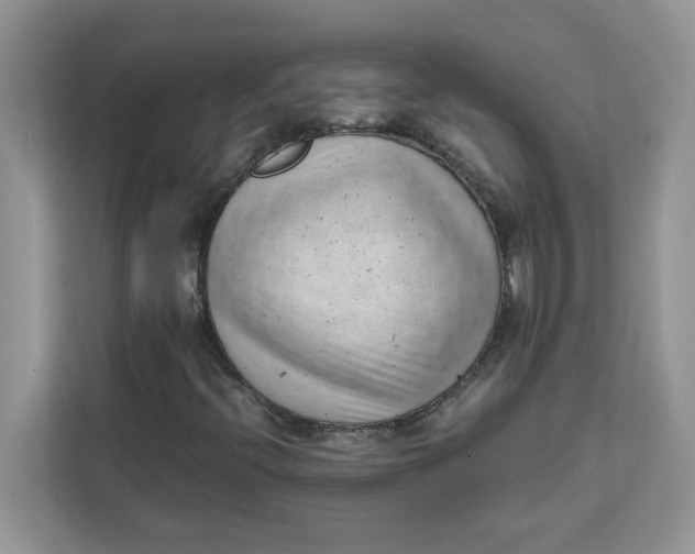 X0000111631396200908071401