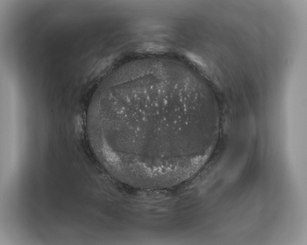 X0000111631397200908071401