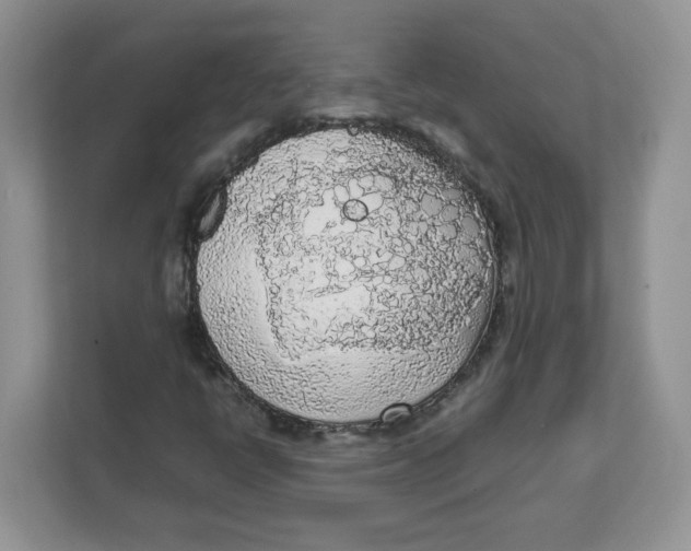 X0000111631398200908071401