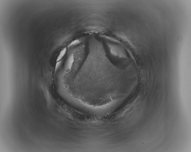 X0000111631399200908071401