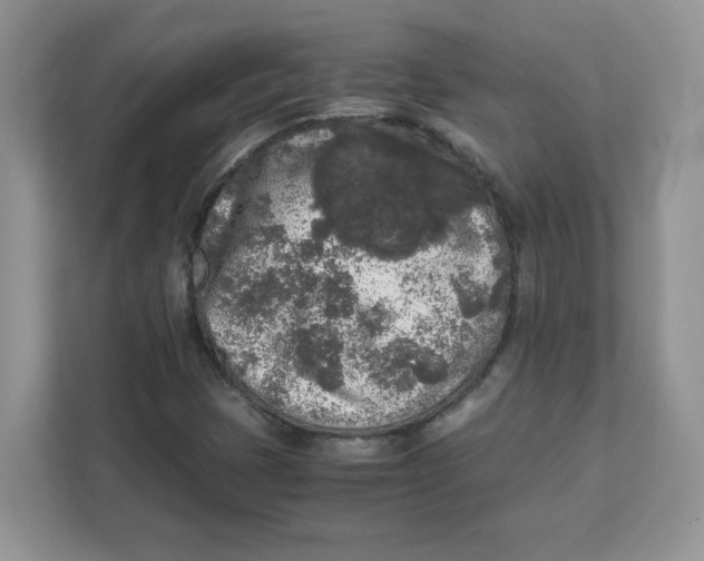 X0000111631401200908071401