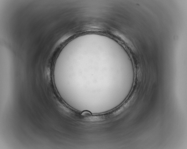 X0000111631402200908071401