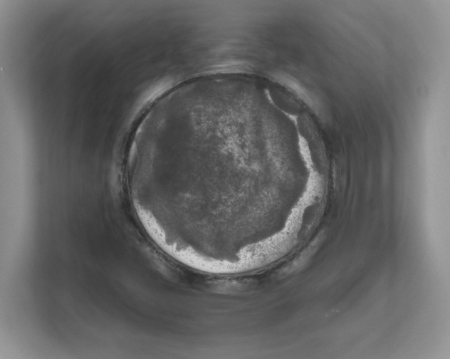 X0000111631405200908071401