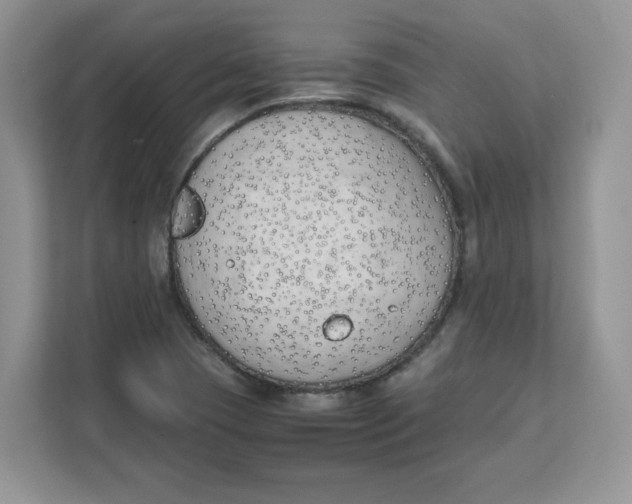 X0000111631409200908071401