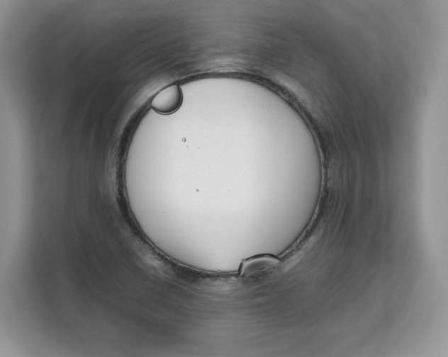 X0000111631410200908071401