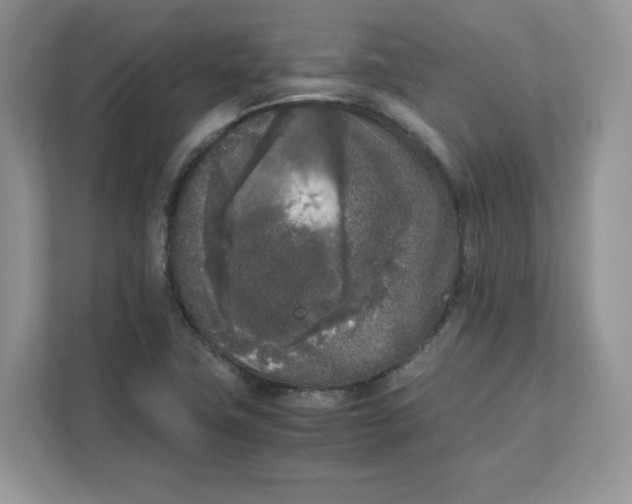 X0000111631411200908071402