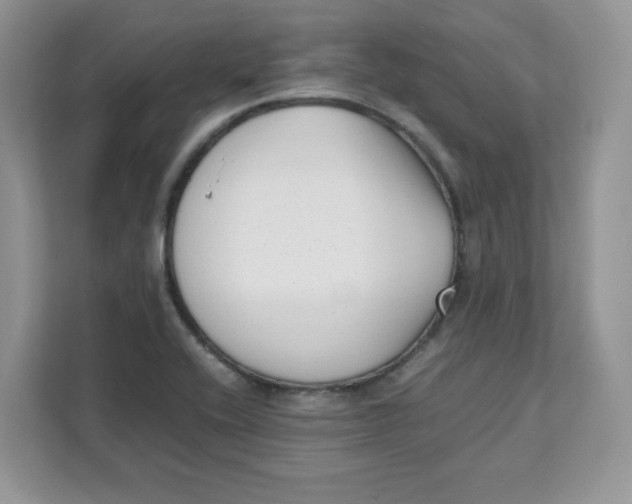 X0000111631416200908071402