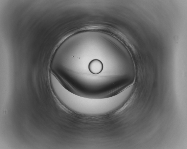 X0000111631417200908071402