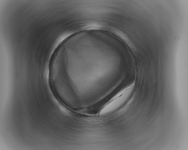 X0000111631418200908071402