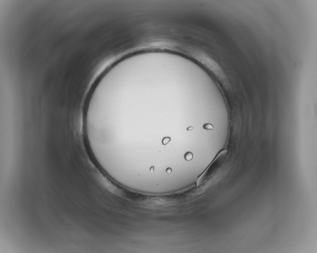 X0000111631420200908071402