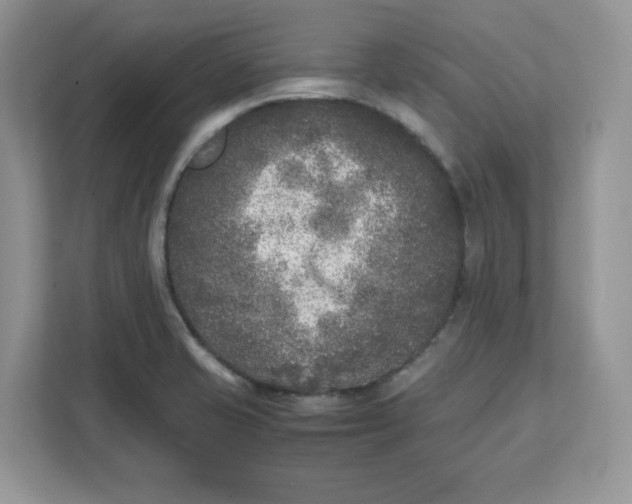 X0000111631421200908071402