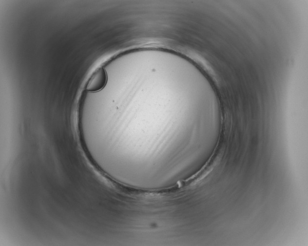 X0000111631424200908071402