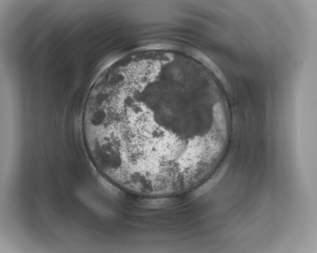 X0000111631425200908071402