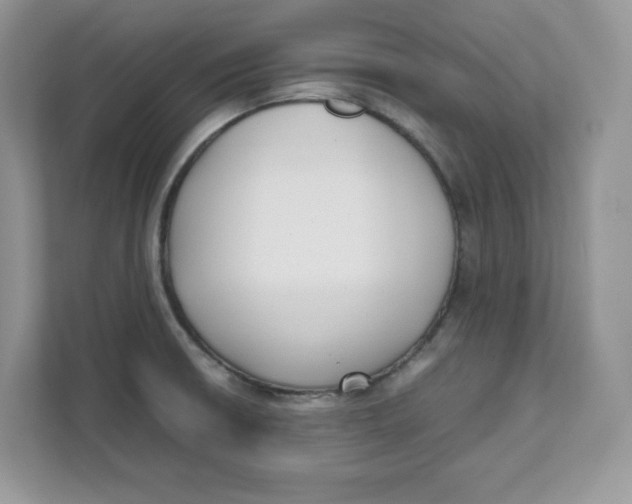 X0000111631426200908071402