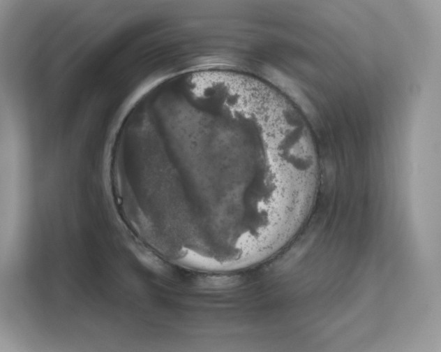 X0000111631427200908071402