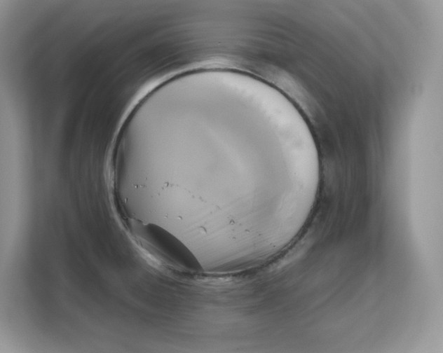 X0000111631428200908071402