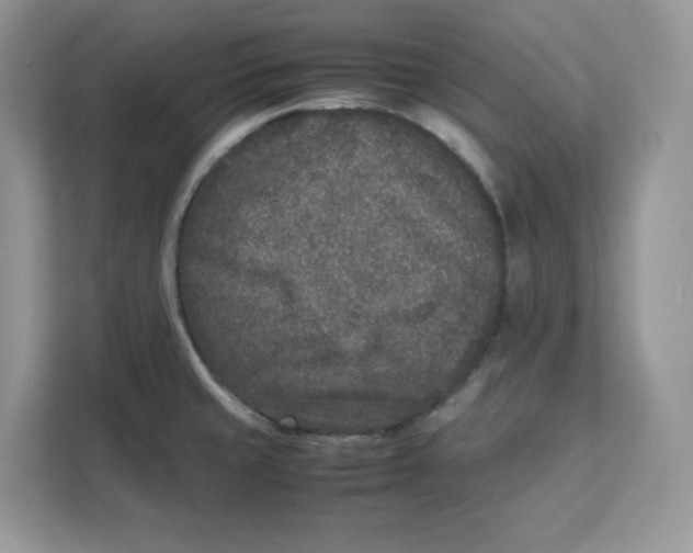 X0000111631429200908071402