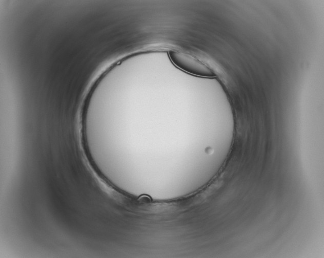 X0000111631430200908071402