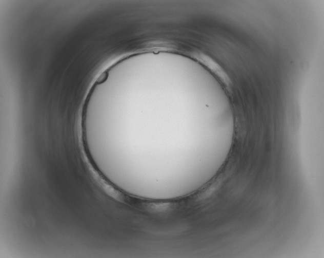 X0000111631431200908071402