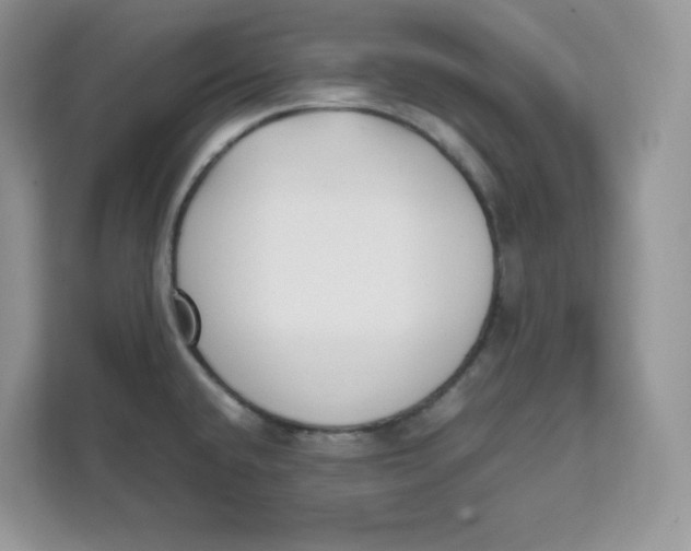 X0000111631432200908071402