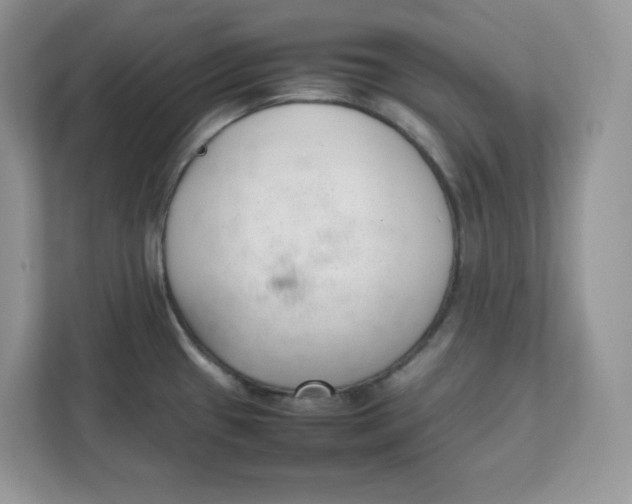 X0000111631433200908071402