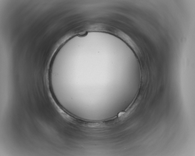 X0000111631434200908071402