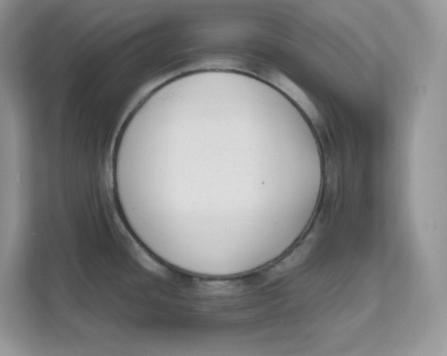 X0000111631436200908071402