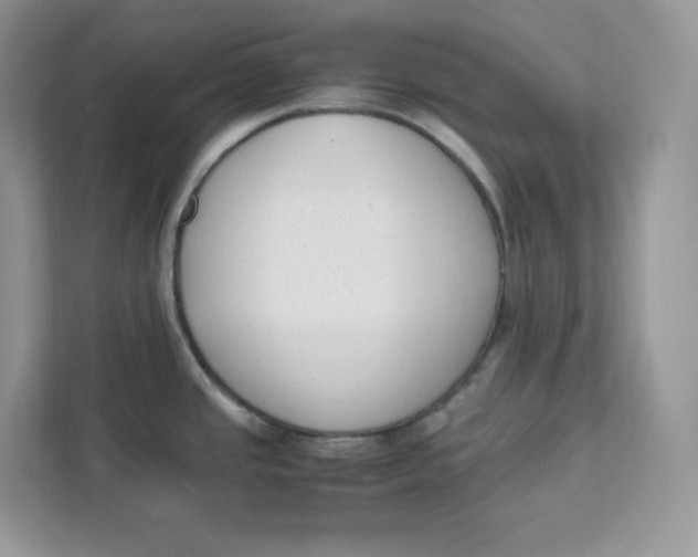 X0000111631437200908071402