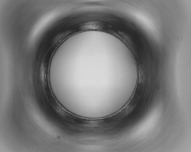 X0000111631438200908071402