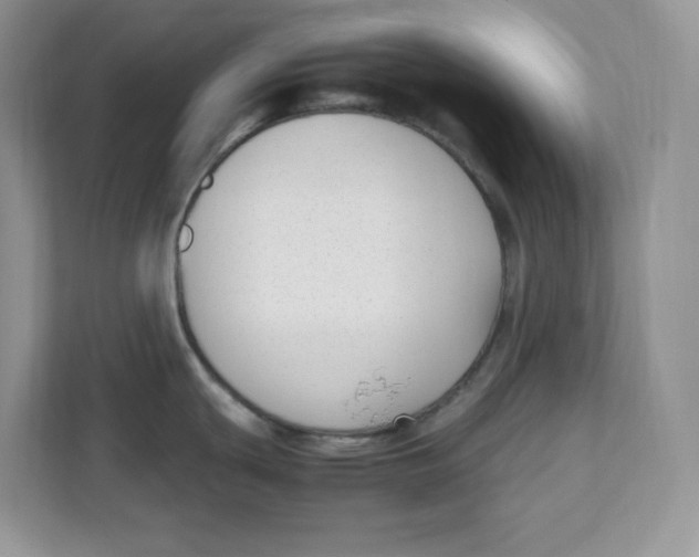 X0000111631439200908071402