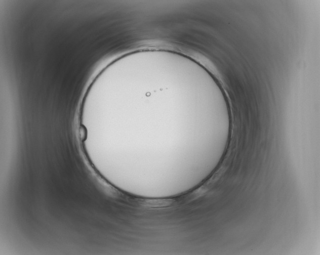 X0000111631440200908071402