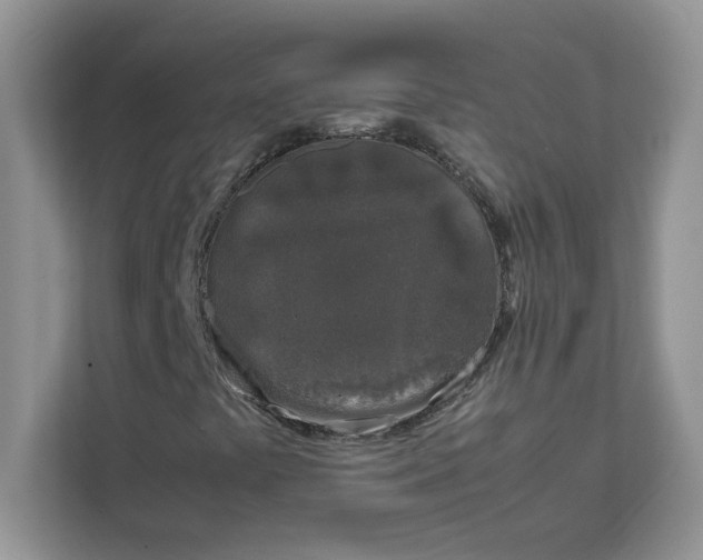 X0000111631441200908071401