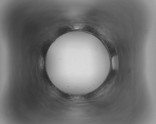 X0000111631443200908071401