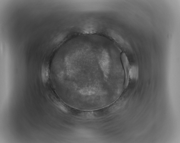 X0000111631444200908071401