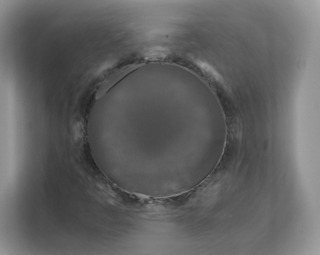 X0000111631445200908071401