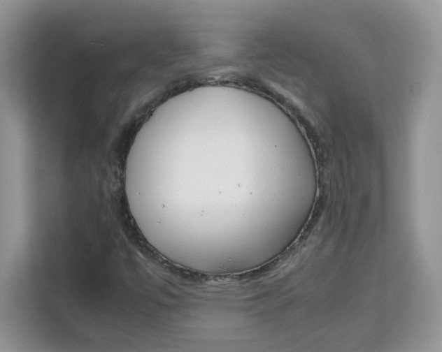 X0000111631447200908071401