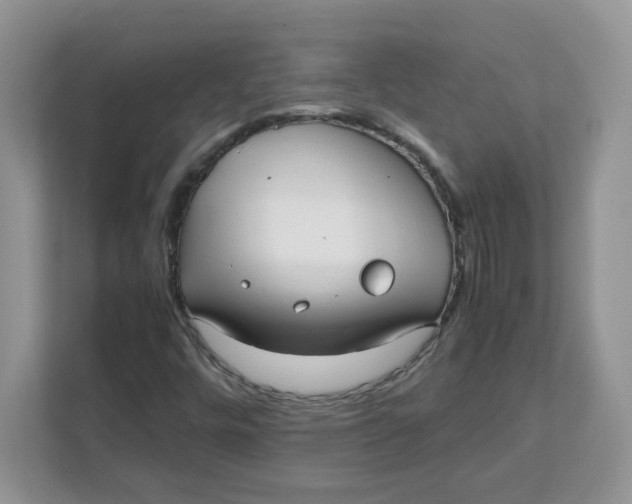 X0000111631448200908071401