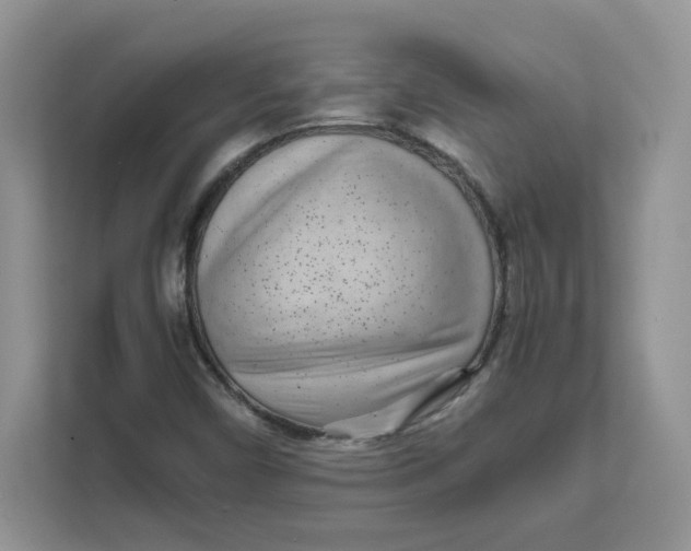 X0000111631450200908071401