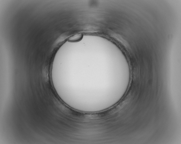 X0000111631451200908071401