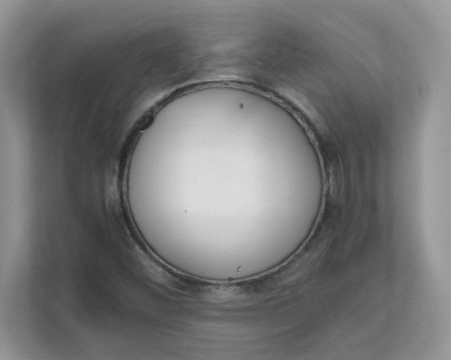 X0000111631452200908071401