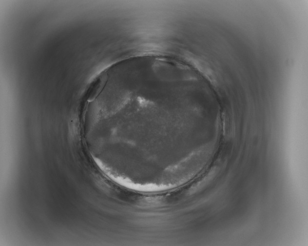 X0000111631453200908071401