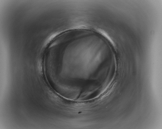 X0000111631455200908071401