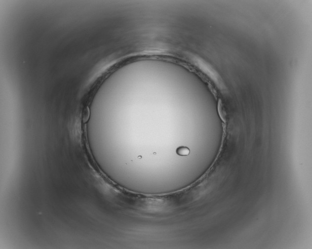 X0000111631456200908071401