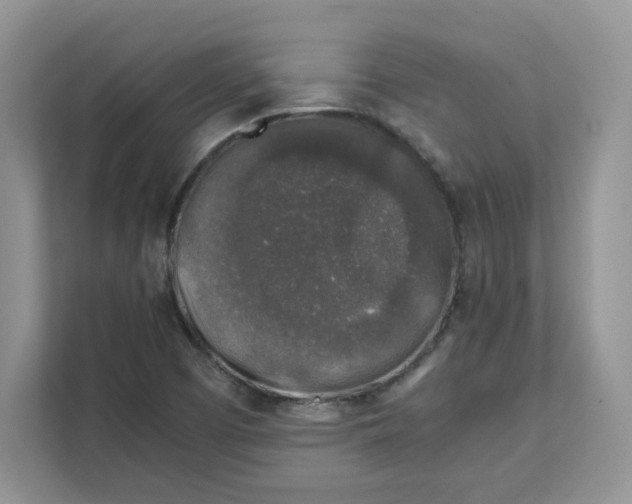 X0000111631457200908071401