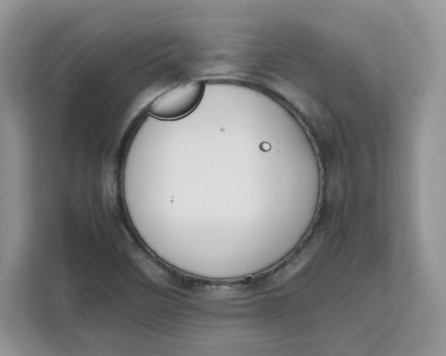 X0000111631458200908071401